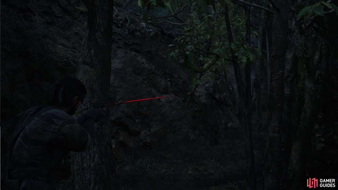 There is a Green Tree Python hanging from a branch in Dremuchij North.