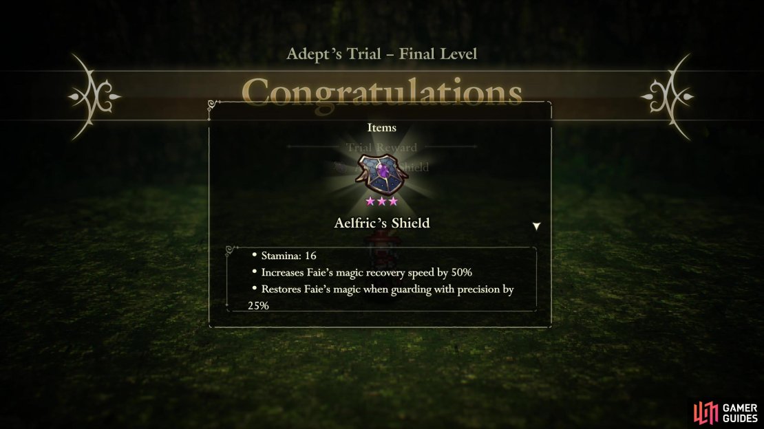 Complete the Adept’s Trial at the Temple of Trials to obtain this shield.