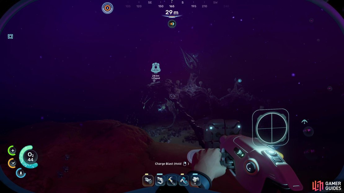 In the first biome you can find some Angel Combs languishing under the thrall of parasitic infection.