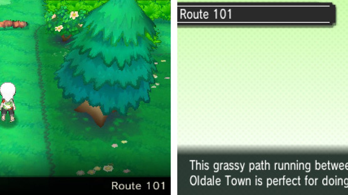 A brief route with some Pokemon that you can’t catch yet.
