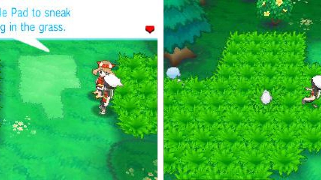 Sneaking is a fantastic way to encounter rare or more powerful Pokemon.