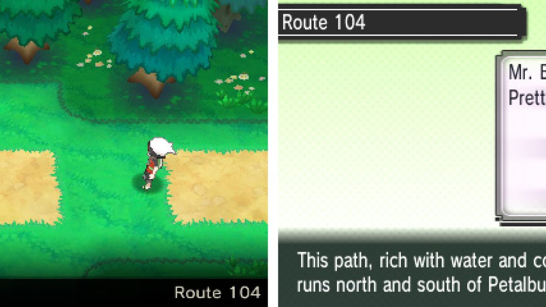 A seaside route separated by Petalburg Woods.