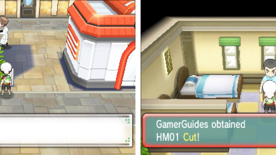 Cut can be used to chop down prickly trees, but the first Gym badge is required to use it.