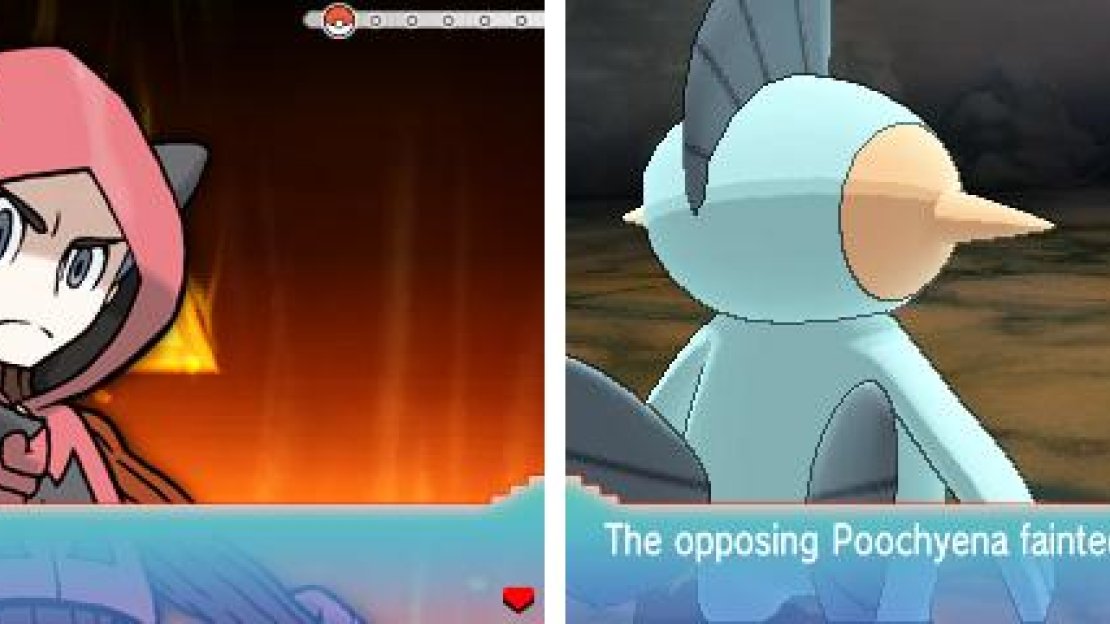 Team Aqua and Magma are both fond of using Poochyenas in battle.
