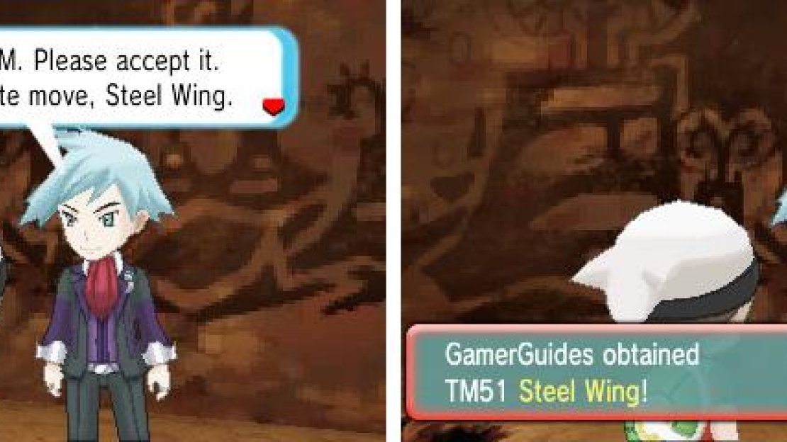 Steel Wing is a decent move for Flying-types, letting them damage sturdy Rock-types.