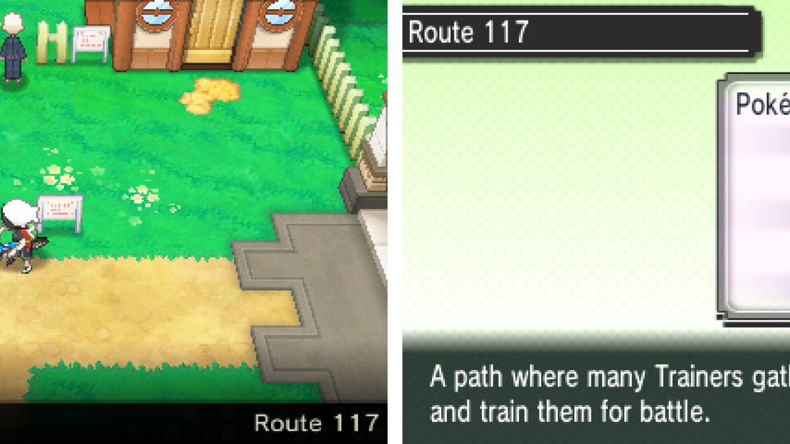 Passionate Pokémon breeders cycle back and forth on this route to hatch their Pokémon eggs.