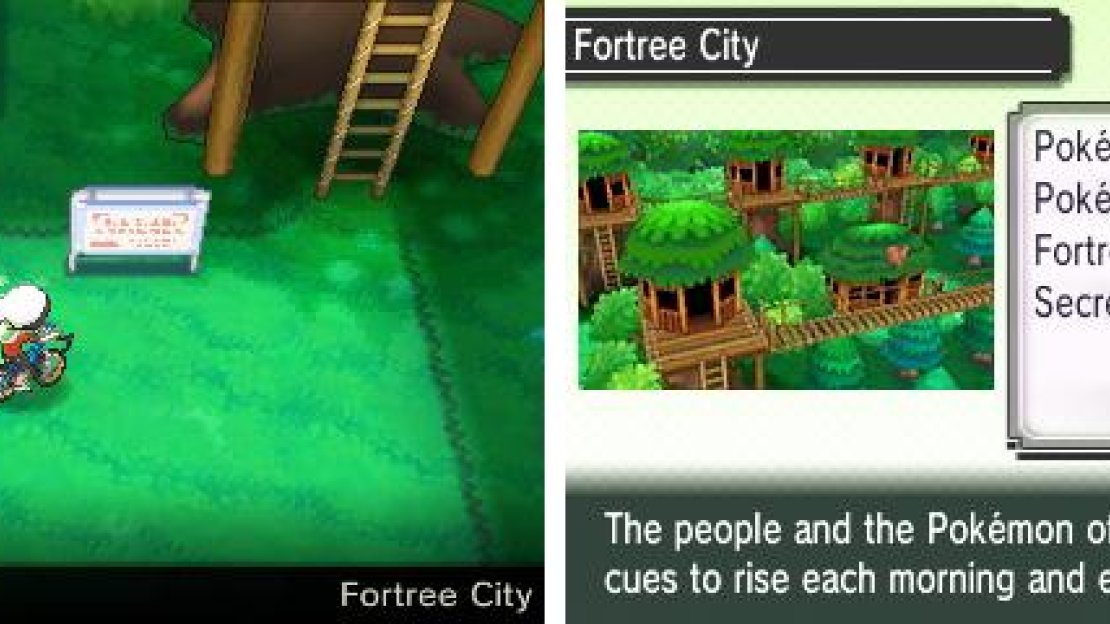 A breezy town built on top of treetops.