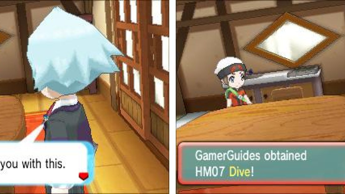 Your poor Water-type Pokémon needs to make space for this HM.