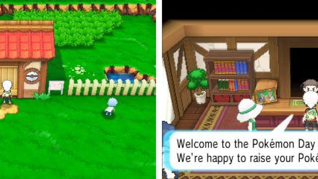 Breeding is mostly important for competitive players, but it’s useful for casual players too.