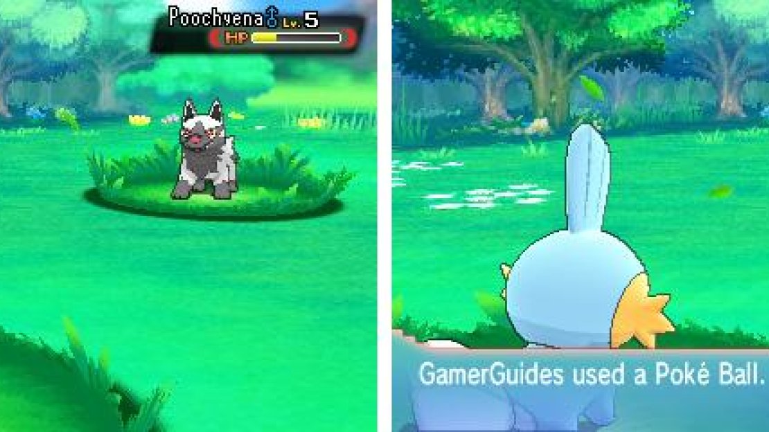 Weaken the wild Pokémon first before throwing anything its way.