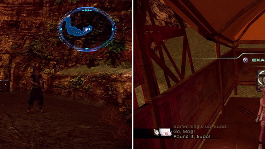 Picture Frame Location (left). Bulb of Hope Location (right).