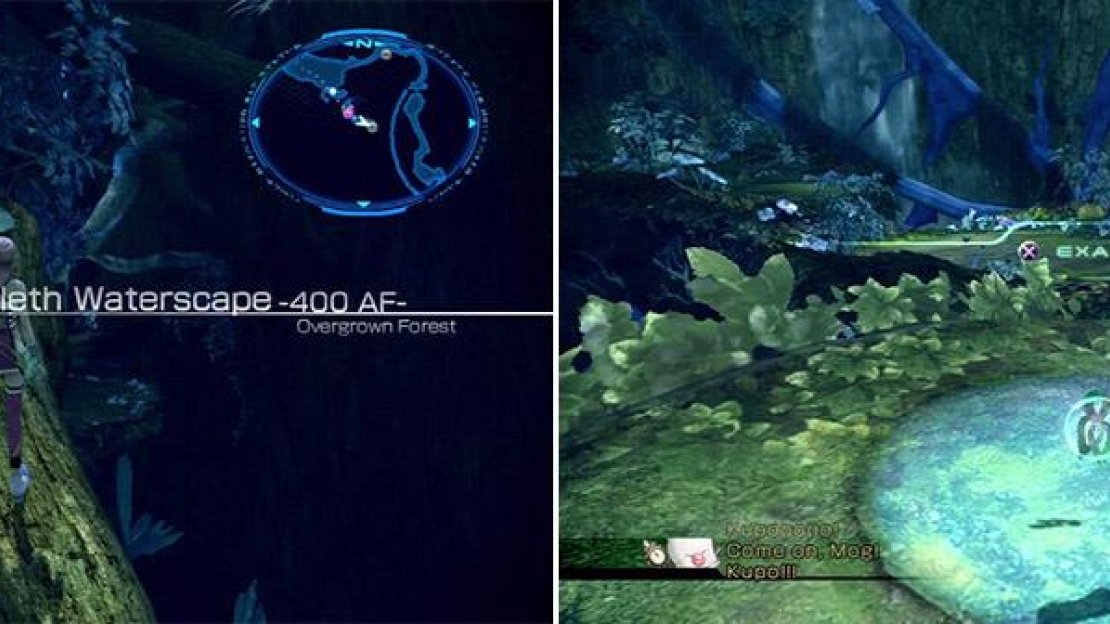 Location of Dark Blue Flan (left). Graviton Core Eta (right).