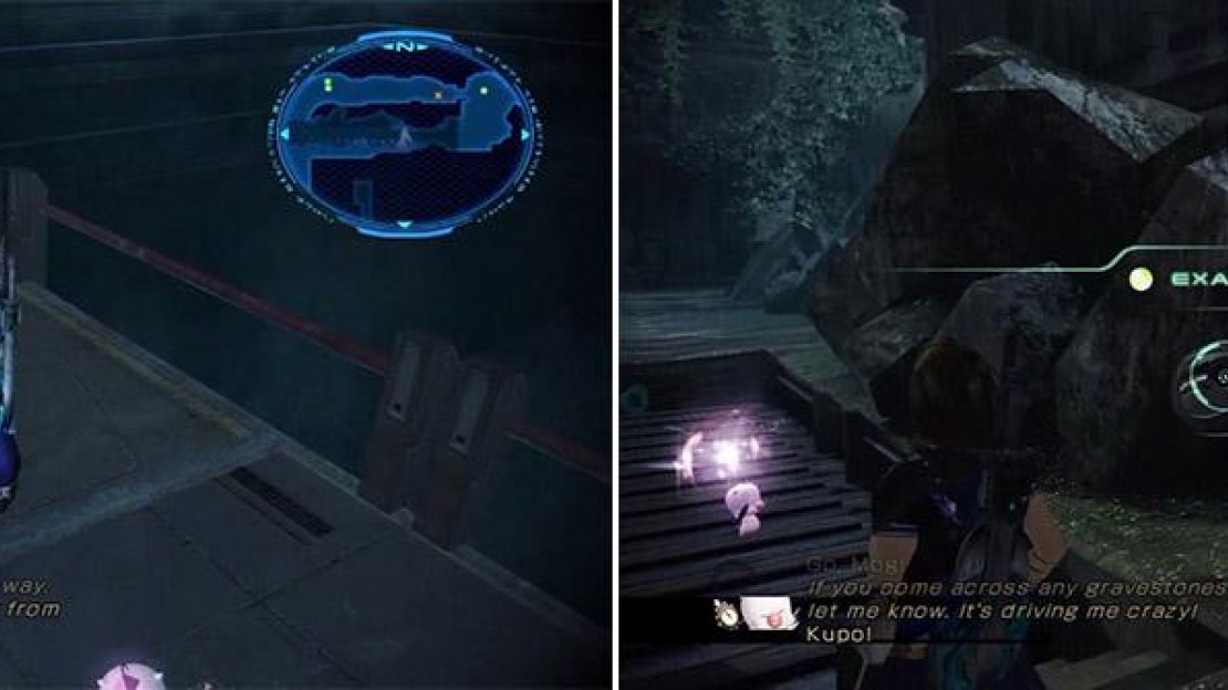 First capsule location (left). Second capsule location (right).