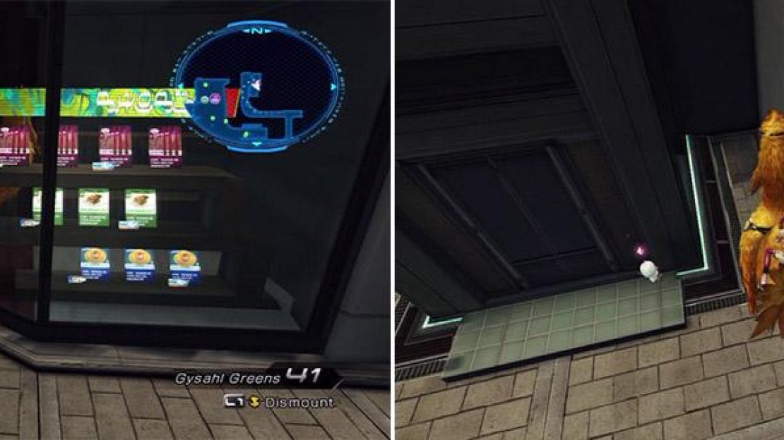 Cryptic location 5 - in the shop (left). Cryptic location 6 - near the wall (right).