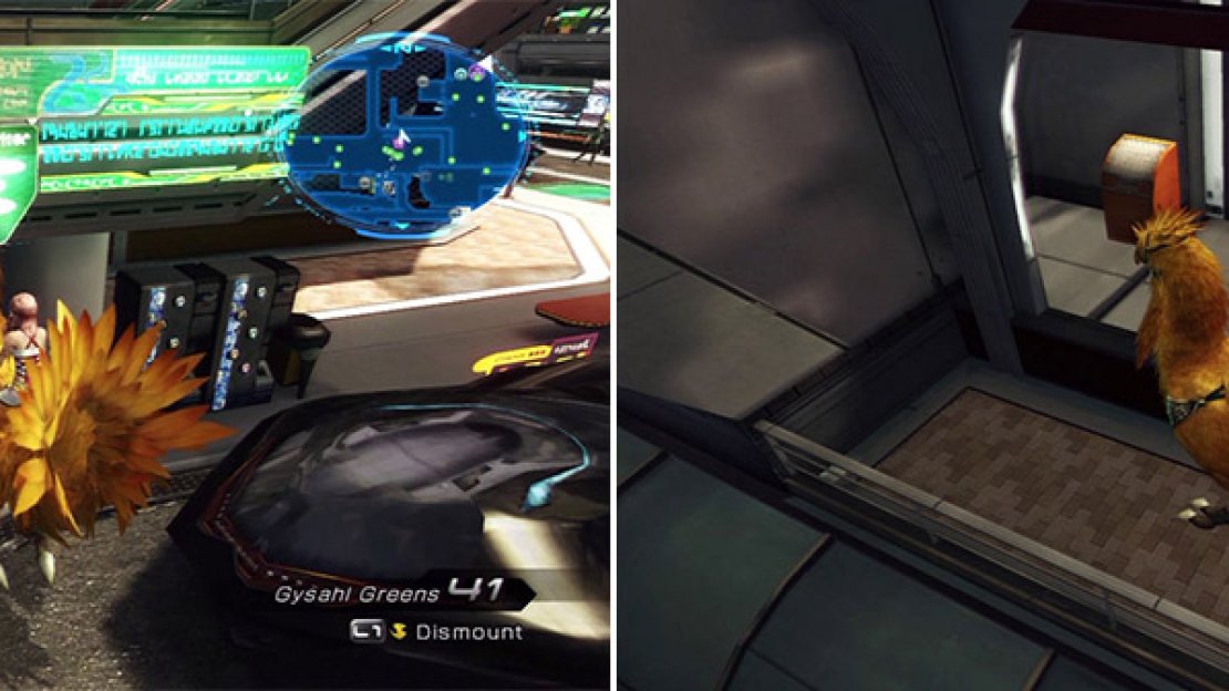 Cryptic location 7 - below the stairs (left). Cryptic location 8 - near the wall (right).