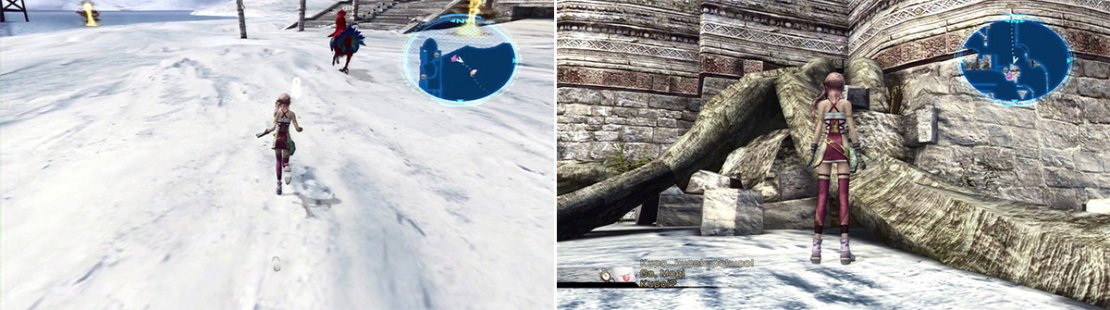 Graviton Core Zeta (left). ‘Hometown’ Gate Seal location (on top of the roots) (right)