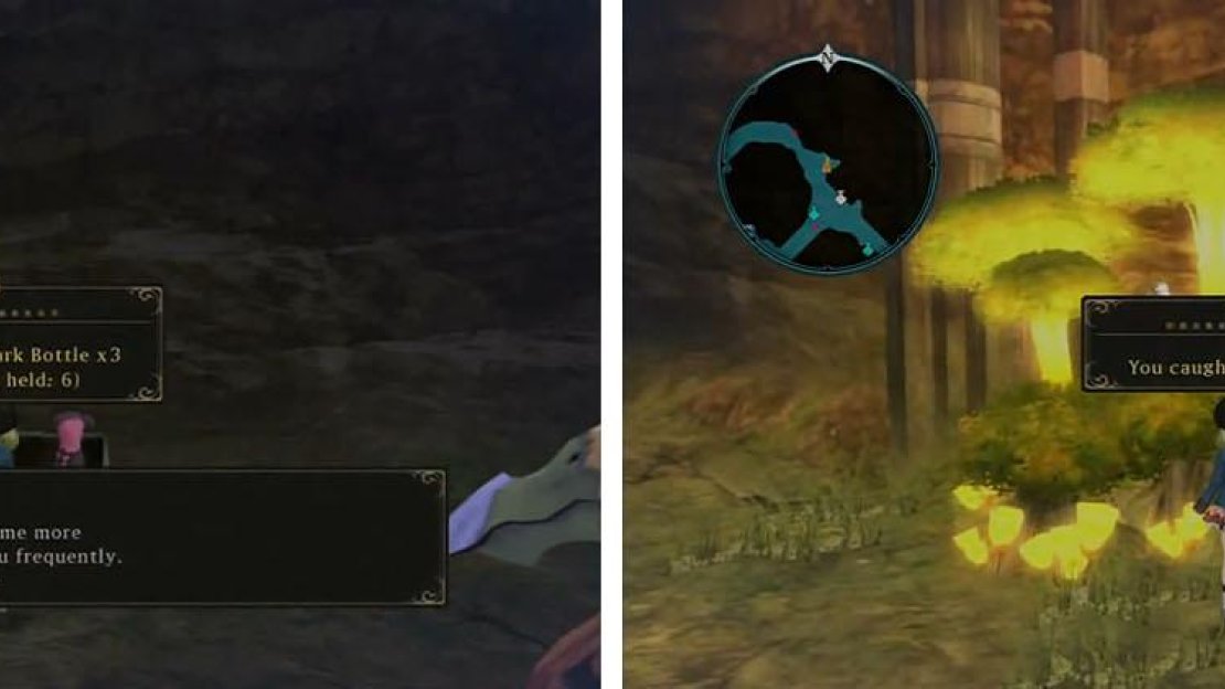 Grab the Dark Bottles in the dead end and then continue to find Pebbles in the glowing tree.