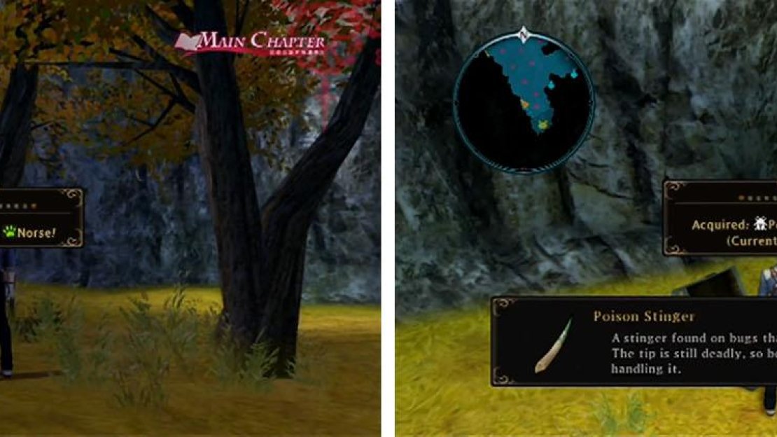 Get the cat Norse and the Poison Stinger in the first area before you continue.