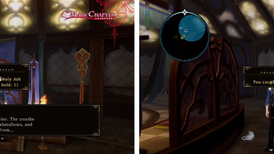 There are only two things at the Shrine; the quest item Holy Ash and the cat Shorty from behind the altar.