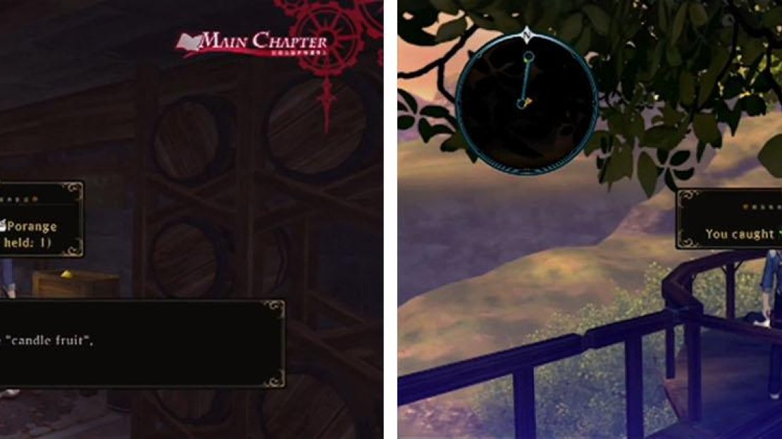 Check the small hut for some treasure and then climb the orchard ladder to find Schrodinger.