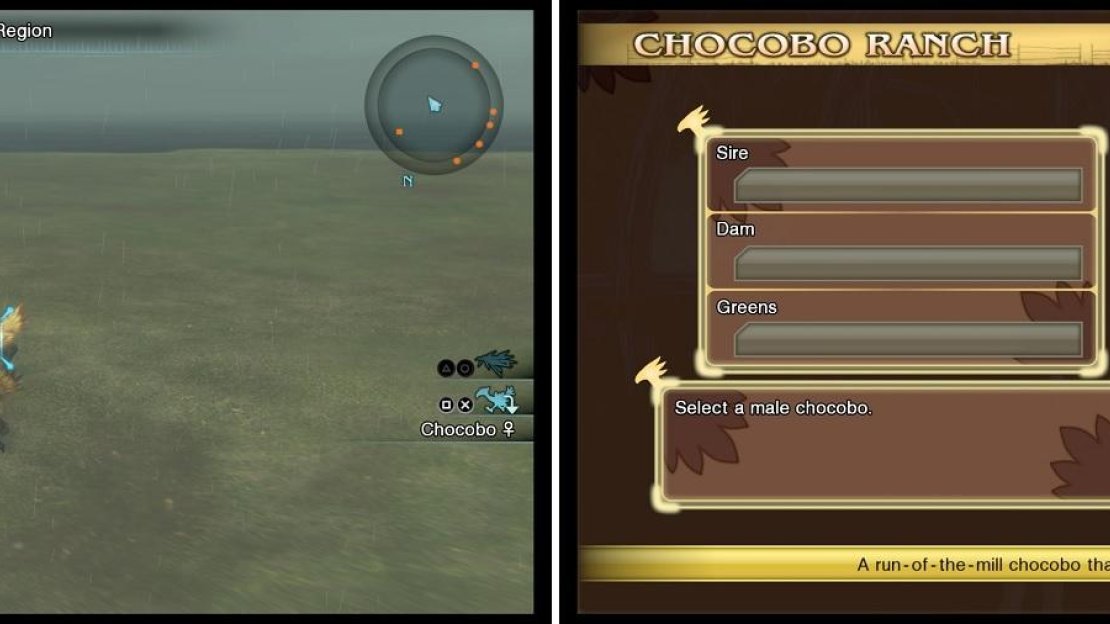 Near the beginning of the game, one of the only sources for acquiring Chocobos will be wild ones on the overworld (left). Once you progress enough, you will be able to breed them (right) at Akademeia.