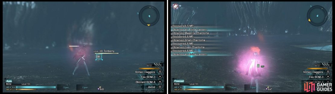 This is the only mission, outside of the postgame, where you encounter Tonberries (left). They drop Anima Lanterns (right), which grant Reraise status, similar to Phoenix Pinions.