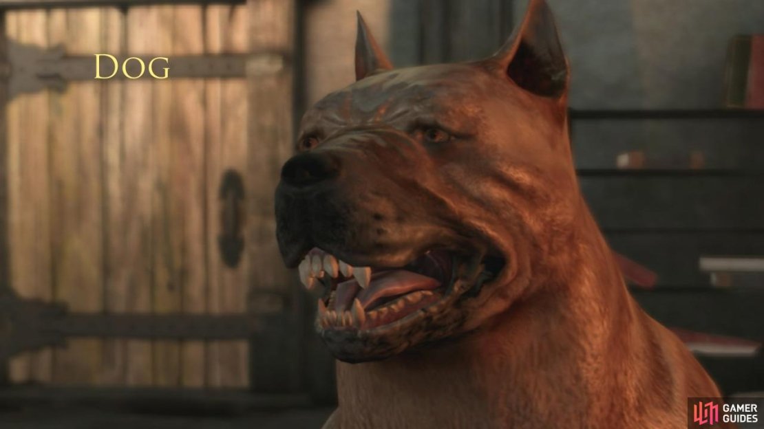 Dog is your loyal, loveable, Trolldog. He just loves to wind up the other companions, especially Morrigan.