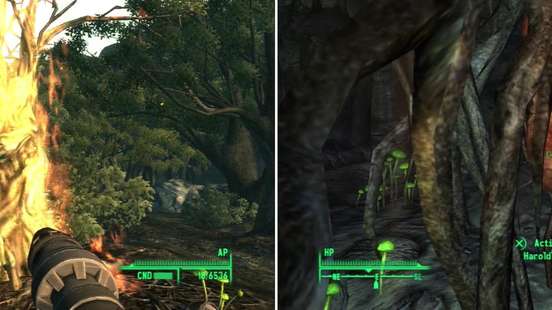 Either give Harold his release in a manner most befitting a talking piece of wood (left), or venture into the abandoned mines under Oasis to find his heart (right).