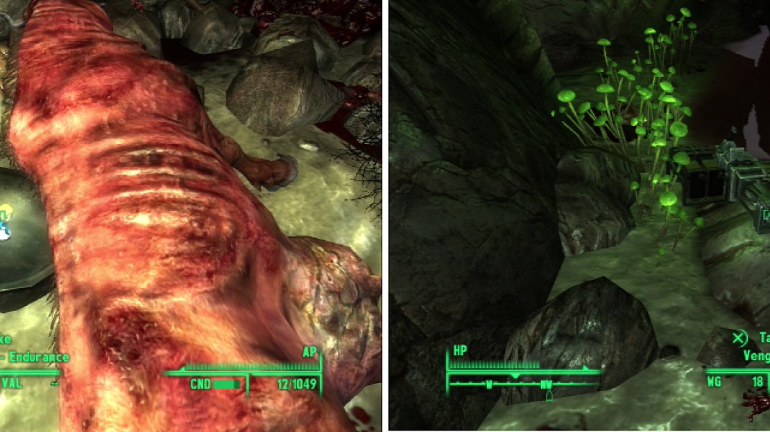 Grabbing the Bobblehead - Endurance doesn’t require you to venture too deep into the Deathclaw Sanctuary (left), but there are prizes in the depths worth obtaining (right).