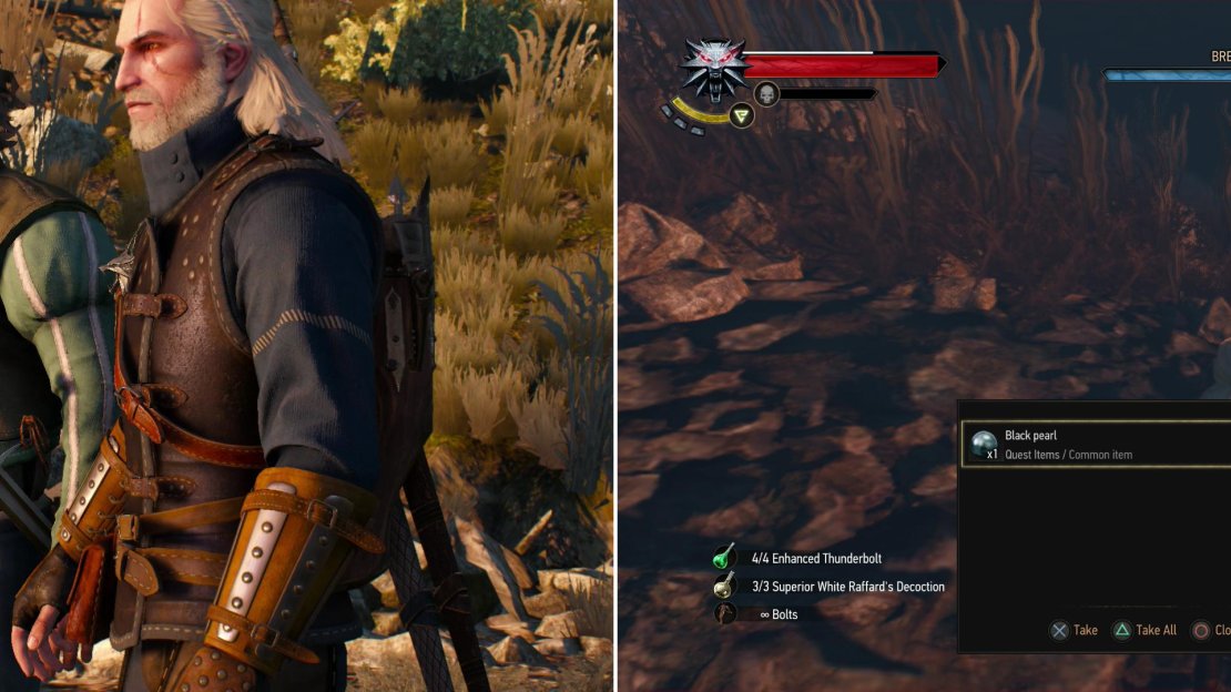 Meet Nidas and Skellige (left) then dive into the water and search for the elusive Black Pearl (right).