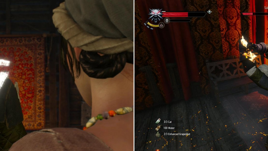 Using Axii on the Madame is an easy way to get the information you need (left). While Succubi are creatures of passion, they can be deadly if provoked (right).