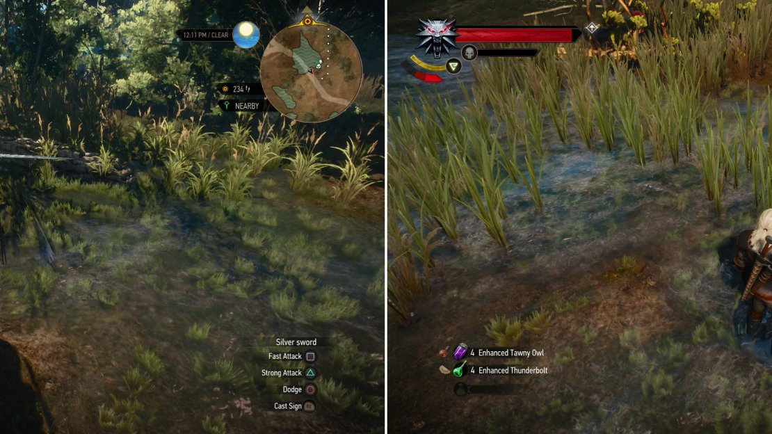 A Wyvern lords over a small swamp (left). If you defeat it, you can claim its treasure (right).