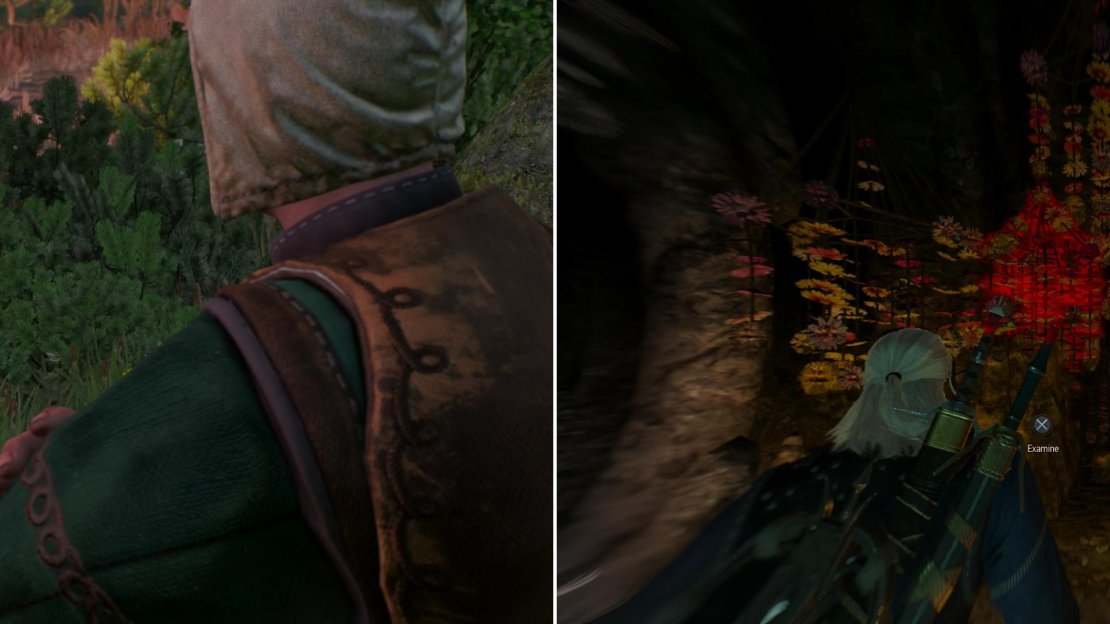 Use your Witcher Senses to track down the monster that has been… uh… distracting local druids (left). Either through violence or diplomacy you can secure yourself some Pimpernel (right).