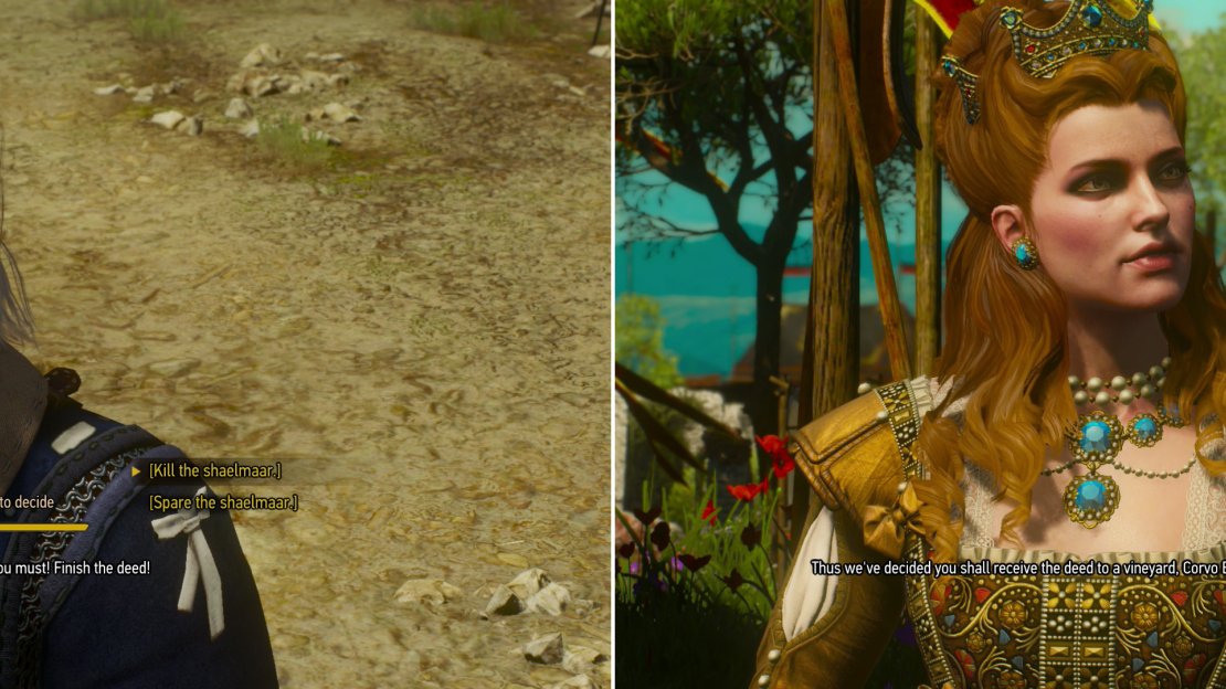 After beating the Shaelmaar, you can spare it to prove your COMPASSION (left). After the fight, Anna Henrietta will provide details on the beast, and provide a generous - and ingenious - reward (right).