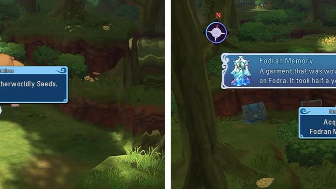 Feed all the Otherworldly Seeds to the bear so he moves and then grab the treasure behind.