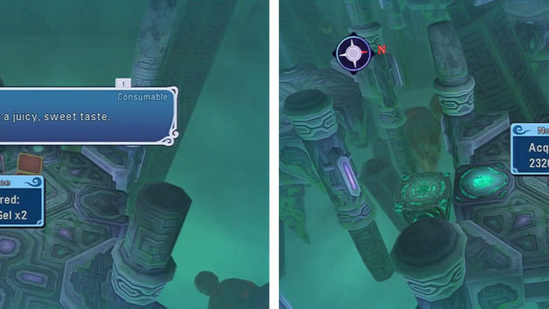 Clear out the southern section of the ruins first, before you backtrack to the warp.