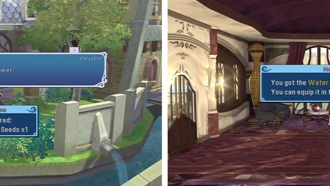 The Oswell’s Manor has some Seeds outside and Water Googles inside.