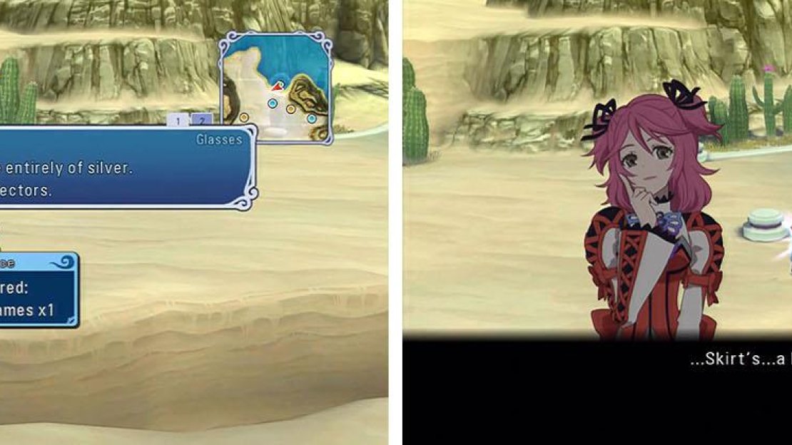 Get the Silver Frames and then check the save for a conversation about Cheria’s skirt.
