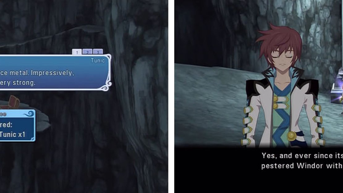 Grab the treasure on the branch before you reach the save point for a skit.