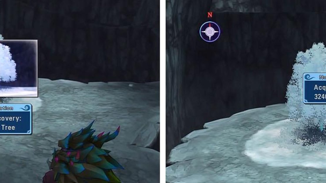 Examine the Frozen Tree for a discovery and then check behind it for some gald.