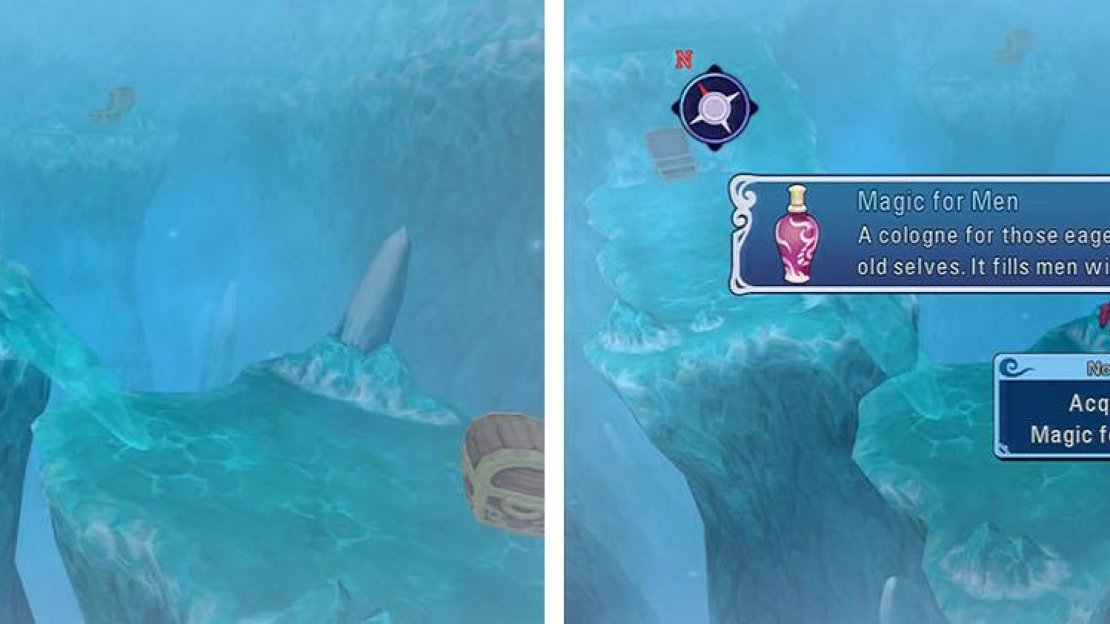 Ice block can knock over icicles to access new areas and items, like Malik’s Magic for Men.