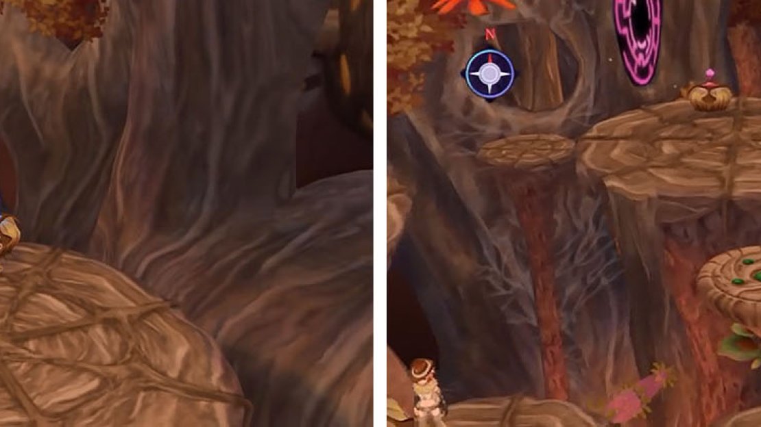 The pink flower will allow you to access the area to the southwest, where you can push the blue flower to move the platform.