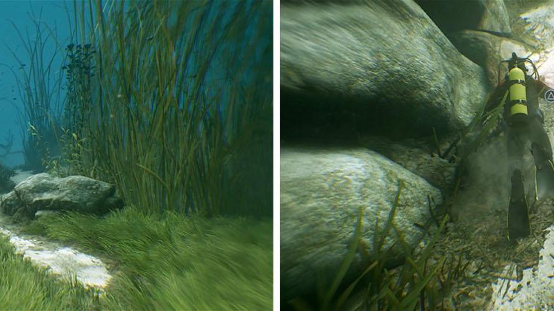 Swim through the area to find a log suspended above two rocks for a treasure.