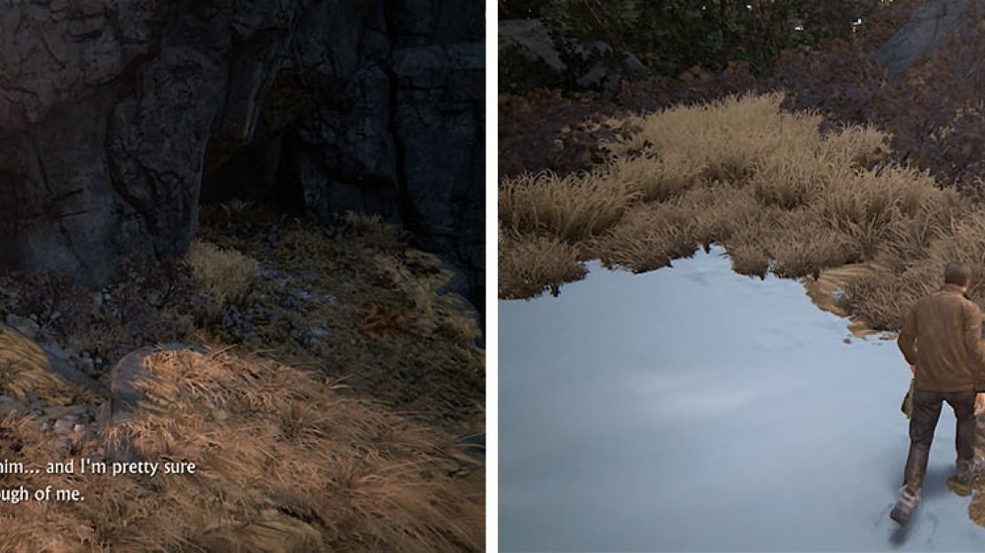 There are two treasures at the start of the level that are east to miss.
