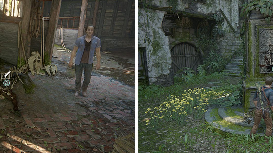 Left: Horse Skeleton / Right: Code of Conduct