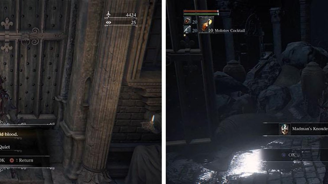 Return to the locked door in Cathedral Ward and enter the password to enter the woods.