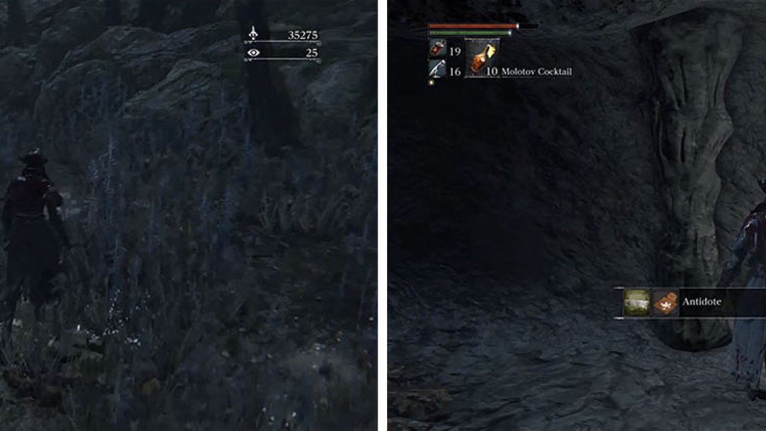 Enter the hidden cave behind the cages and drop to find some Antidotes.
