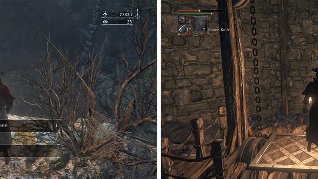 Grab the Twin Blood Shards on the ledge near the lift and unlock the shortcut.