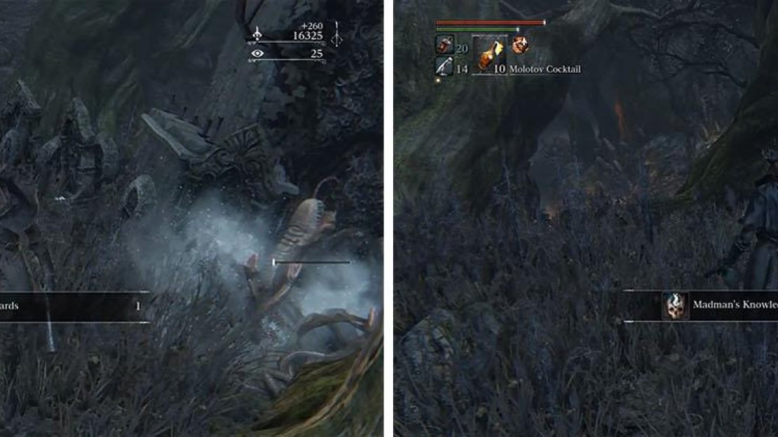 Follow the left wall for some Twin Blood Stone Shards and a Madman’s Knowledge.