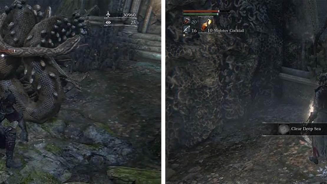 Defeat the Large Snake Ball and then make sure to grab the Clear Deep Sea Rune.
